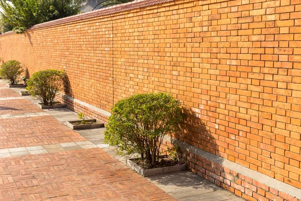 Bush och den röda tegelväggen, Lumbini, Nepal — Stockfoto