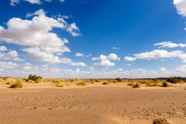 Sahara pouštní, Maroko — Stock fotografie