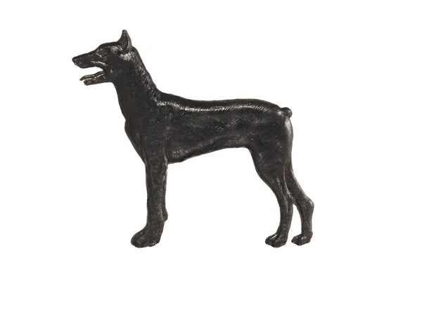 在白色的背景下，杜宾犬的小黑狗图 — 图库照片