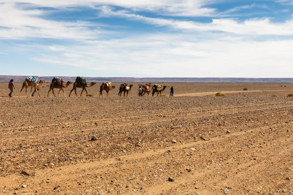 Caravana de camellos en el desierto — Foto de Stock