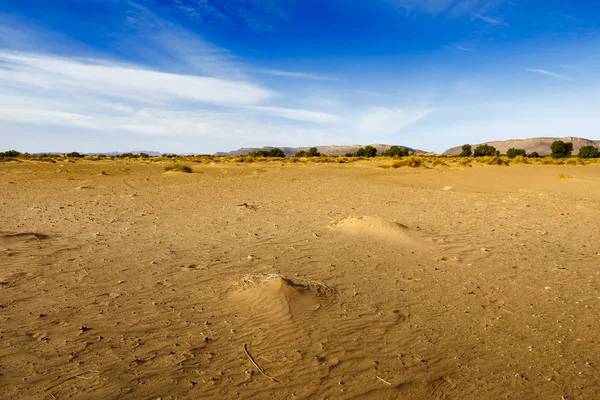 Pustynia, Sahara Maroko — Zdjęcie stockowe