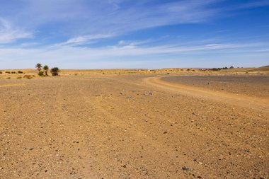 Sahara çöl, morocco