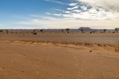çöl manzara Morocco