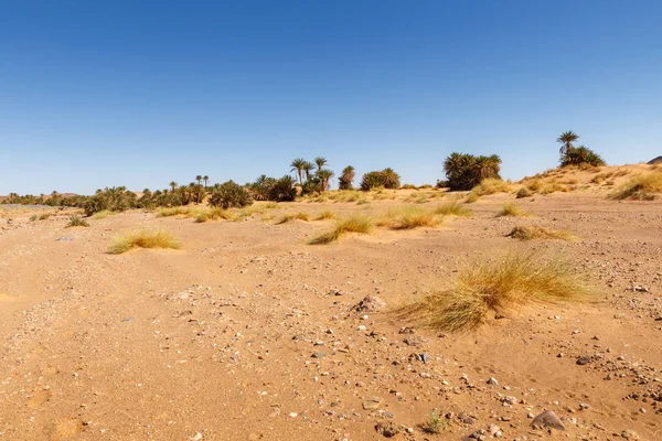 Sahara Desert, Morocco — Stock Photo, Image