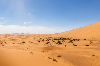 Erg African dunes denizleri
