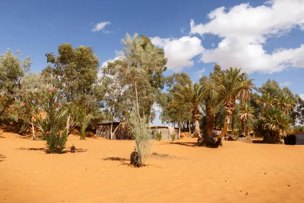 Оазис в пустыне Сахара, Марокко — стоковое фото