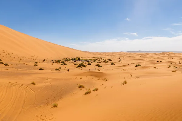 Písečné duny v poušti Sahara, Maroko — Stock fotografie