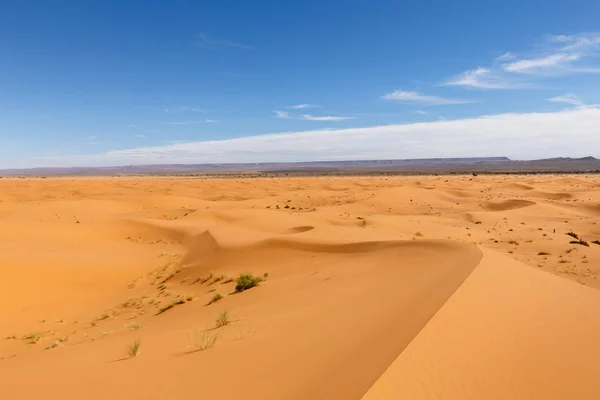 Erg Chebbi en Marruecos — Foto de Stock