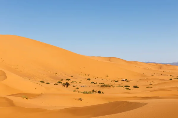 Duny erg chebbi, Maroko — Stock fotografie