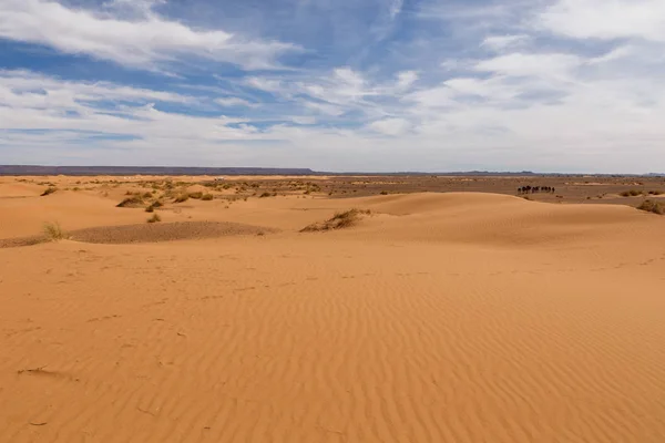 Dunes of Erg Chebbi, Morocco — Stock Photo, Image