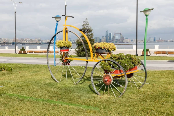 Gran bicicleta - macizo de flores en el terraplén — Foto de Stock