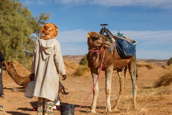 Berber muž v národních šatech stojí v blízkosti velblouda — Stock fotografie