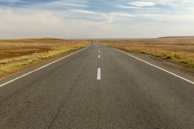 Bozkır boyunca boş asfalt yol, Kazakistan