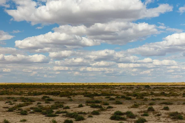 Στέπα στο Καζακστάν, όμορφο τοπίο, πράσινο γρασίδι και συννεφιασμένο ουρανό — Φωτογραφία Αρχείου