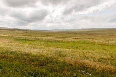 Bir bulutlu gökyüzü arka plan üzerinde Moğol bozkır