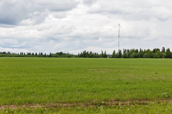 cell tower in the village, green field and cell tower against a cloudy sky