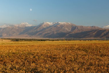 Mountains in Kazakhstan, Aksu-Zhabagly Nature Reserve in Central Asia