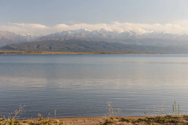 Södra Stranden Issyk Kul Sjö Kirgizistan Klart Vatten Sjön Och — Stockfoto