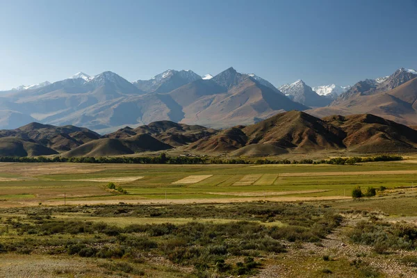 Groene Weiden Tegen Achtergrond Van Besneeuwde Bergen Bij Lake Issyk — Stockfoto