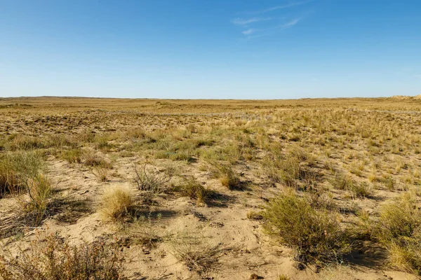 Степь Казахстане Сухая Трава Кустарник Степи Пустыни Ландшафт — стоковое фото