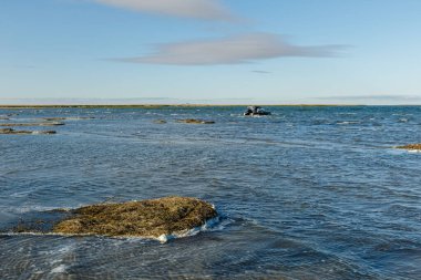 Lake Kamyslybas or Kamyshlybash, large saltwater lake in the Kyzylorda Region, Kazakhstan. waves on the surface of the lake