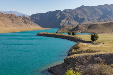 Kırgızistan dağlarındaki Naryn Nehri