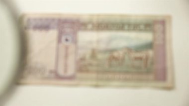 100 Moğol römorku ve bir büyüteç. Bir kağıt faturayı büyüteçten izle. ters.