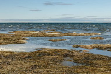 Kamyslybas Gölü Kazakistan 'da büyük bir tuzlu su gölüdür..