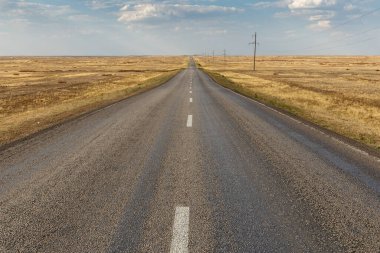 Kazakistan bozkırında boş asfalt yol.