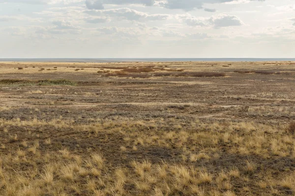 Kazakistan Bozkır Uçsuz Bucaksız Bozkırlarda Kuru Sonbahar Manzarası — Stok fotoğraf