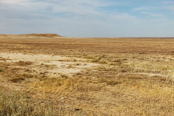 Pusty Step Kazachstanie Sucha Trawa Stepie Jesiennym Krajobraz — Zdjęcie stockowe