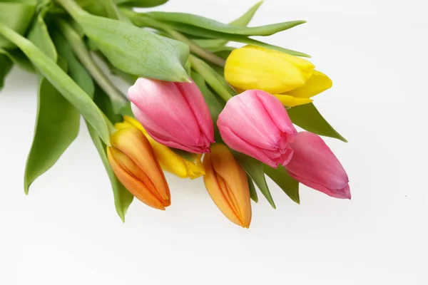 Tulipanes naranja, amarillo y rosa sobre blanco —  Fotos de Stock