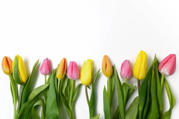 Помаранчеві, жовті та рожеві тюльпани на білому — стокове фото