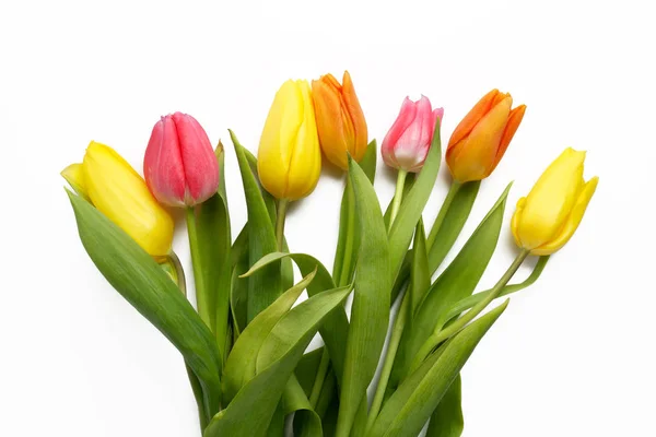 Tulipanes naranja, amarillo y rosa sobre blanco —  Fotos de Stock