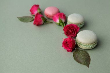 Fransız macarons ve yeşil güllerinin Vintage pastel renkli