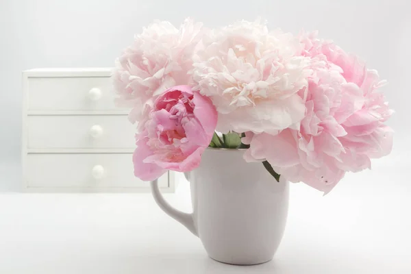 Bella rosa Peonie fiore su sfondo chiaro — Foto Stock