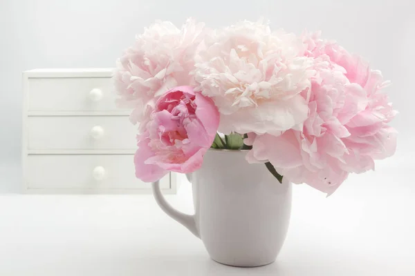 Mooie roze Peonie bloem op lichte achtergrond — Stockfoto