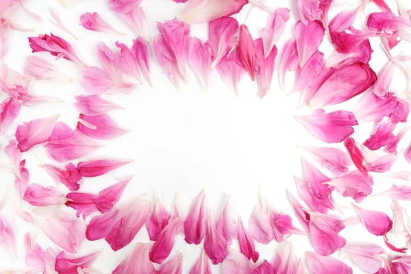 Pink petals of peony flowers lying on white background with place for text in the middle of the frame. Flat lay. — Stock Photo, Image