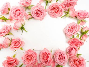 Gül beyaz arka plan üzerinde çerçevesinden. Düz yatıyordu, en iyi görünümü