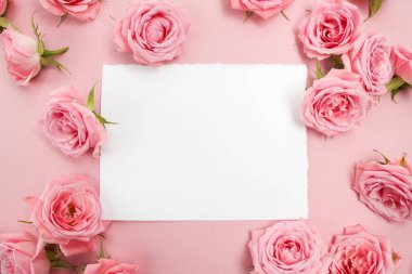 Pembe gül pembe arka plan metin için yer ile üzerinde. Düz yatıyordu, en iyi görünümü