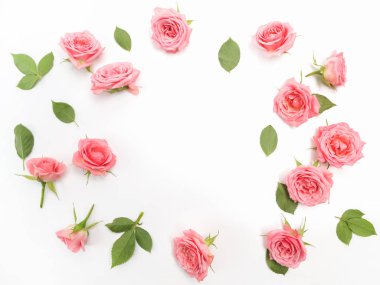 Gül beyaz arka plan üzerinde çerçevesinden. Düz yatıyordu, en iyi görünümü