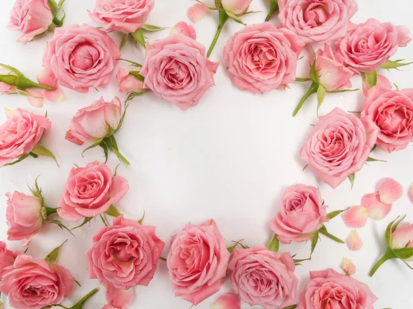 Gül beyaz arka plan üzerinde çerçevesinden. Düz yatıyordu, en iyi görünümü