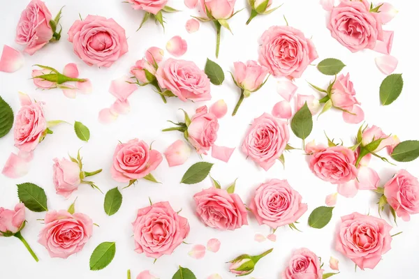 Bloemmotief gemaakt van roze rozen, groene bladeren, takken op witte achtergrond. Plat lag, top uitzicht. Bloemmotief. — Stockfoto