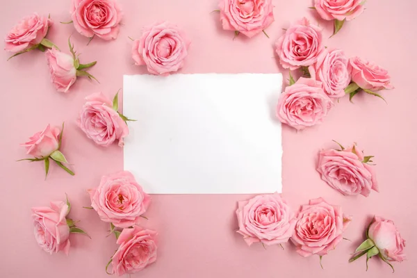 Roses roses sur fond rose avec espace pour le texte. Couché plat, vue du dessus — Photo