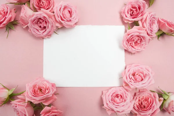 Roze rozen op roze achtergrond met ruimte voor tekst. Plat lag, top uitzicht — Stockfoto