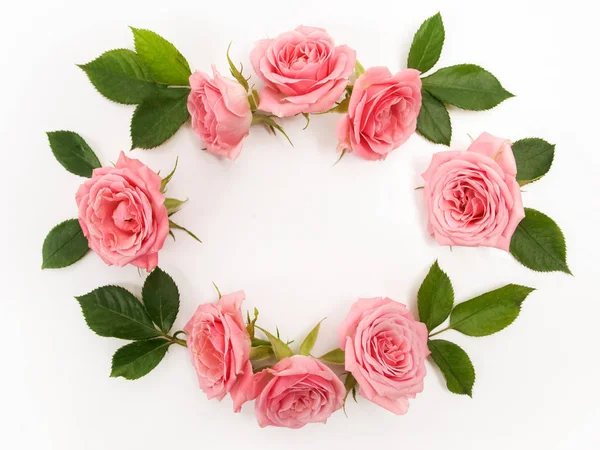 ラウンド フレーム ピンクのバラ、緑の葉、枝、白地に花柄。フラット横たわっていた、トップ ビュー. — ストック写真