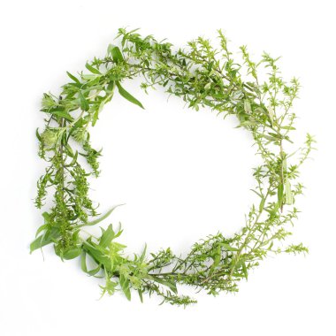 Yeşil yuvarlak çerçeve bırakır. Düz yatıyordu.