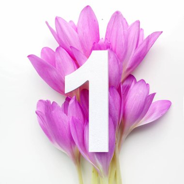 Düzen renkli çiçekler, yapraklar ve bir numara. Düz yatıyordu. Üstten Görünüm.