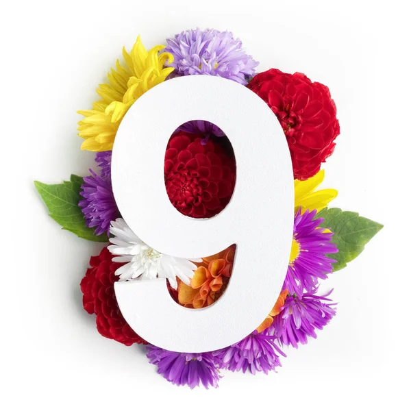 Düzen renkli çiçekler, yapraklar ve dokuz numara. Düz yatıyordu. Üstten Görünüm.
