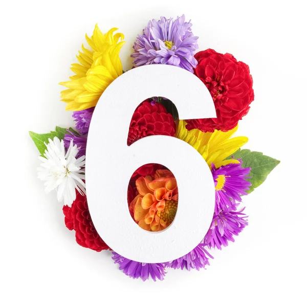 Düzen renkli çiçekler, yapraklar ve altı numara. Düz yatıyordu. Üstten Görünüm.